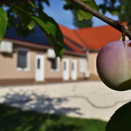 Napfeny Apartament *